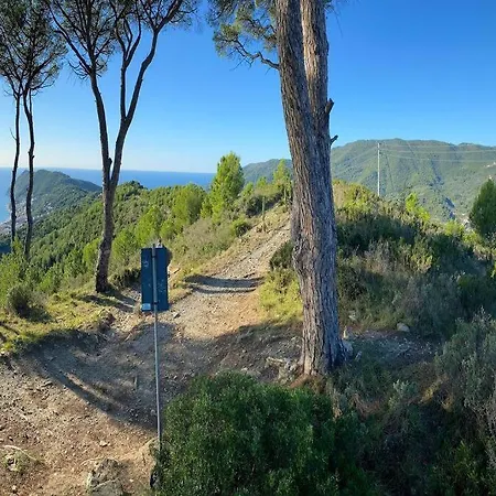Tra Ulivi E Mare Appartamento *