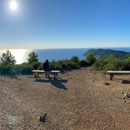 Tra Ulivi E Mare *
